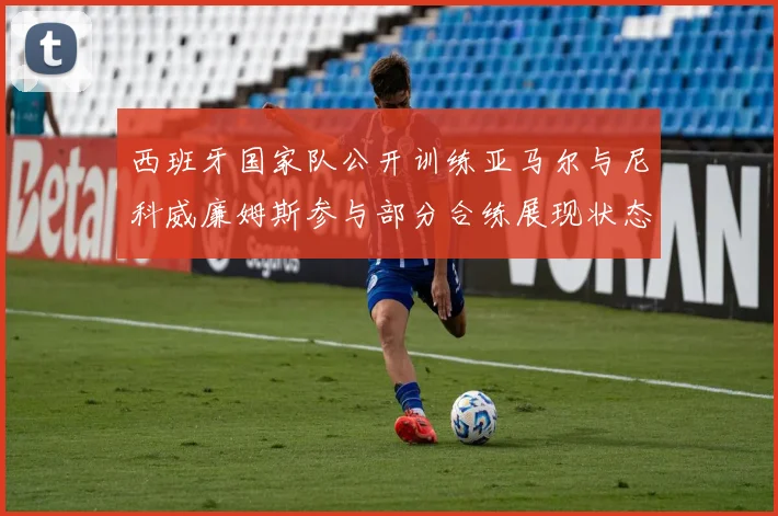 西班牙国家队公开训练亚马尔与尼科威廉姆斯参与部分合练展现状态